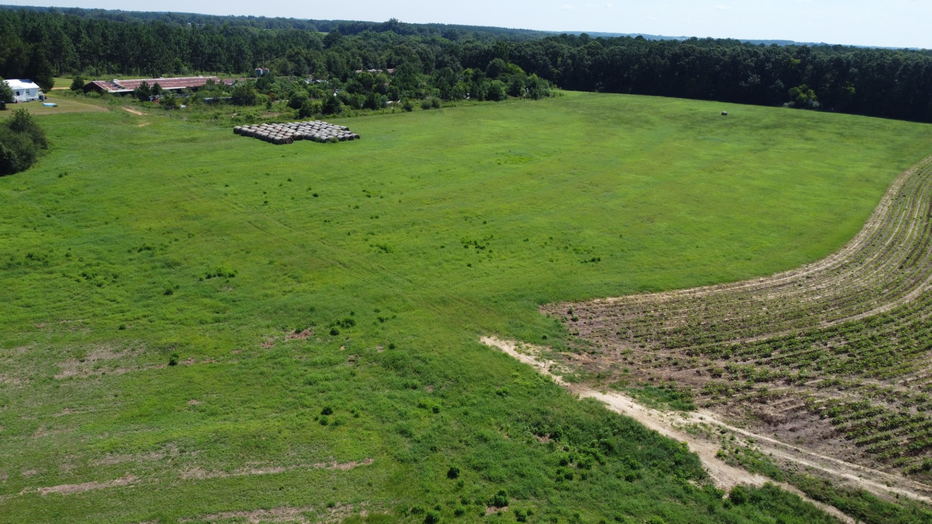 Aerial of stacked round bales, a row-crop corner and a dirt track running through the open ground