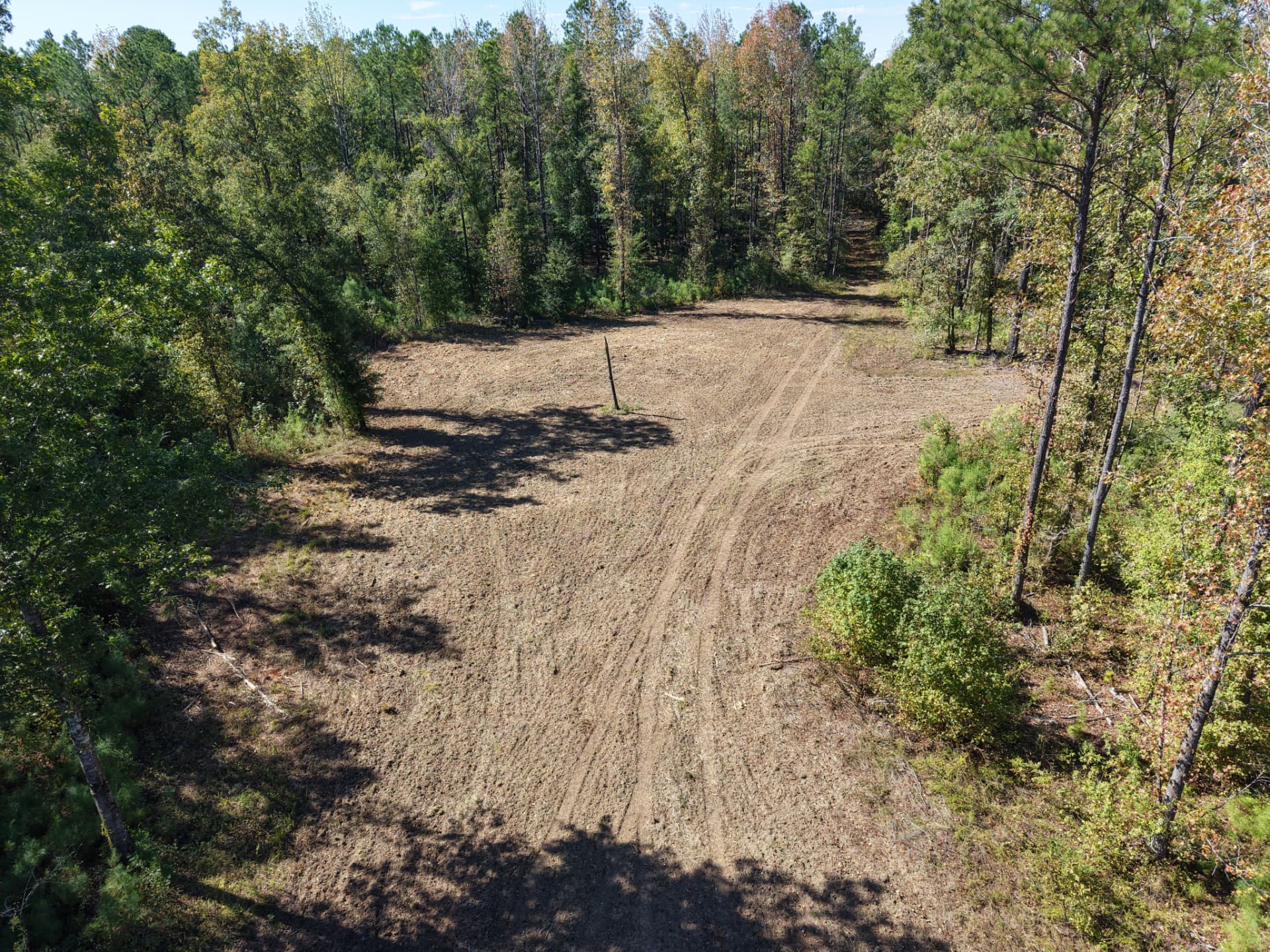 Low aerial along a prepared food plot bordered by mature trees at Flatwood 40 Tract, Marengo County, Alabama