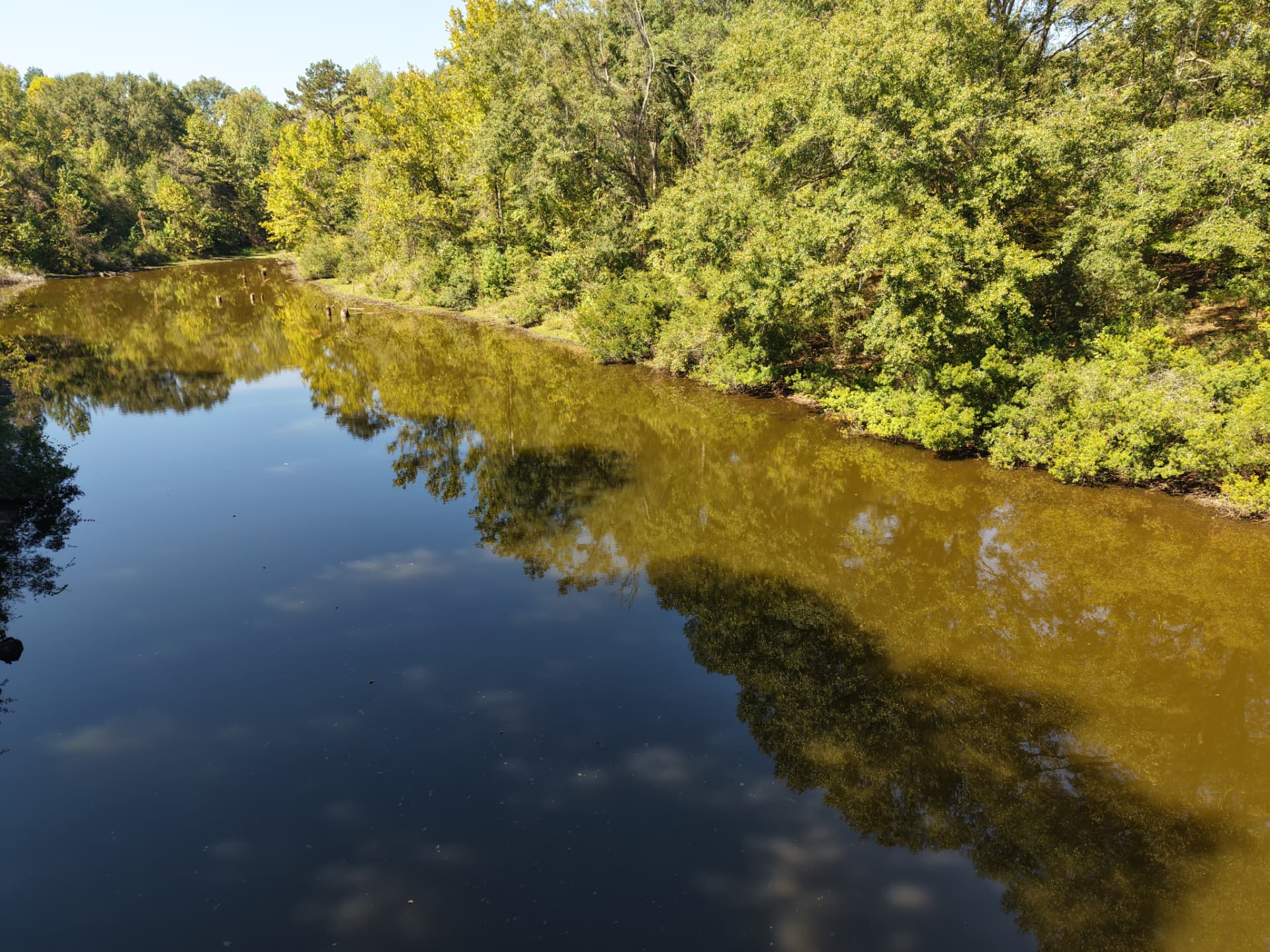 Aerial of the pond reflecting the surrounding hardwoods and blue sky