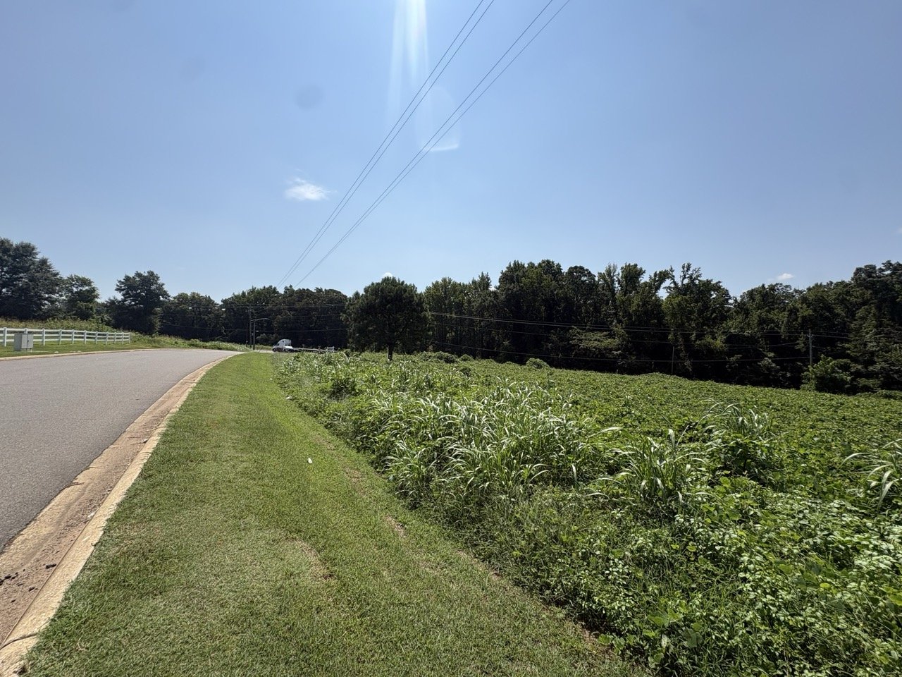 Grassy frontage along the paved road
