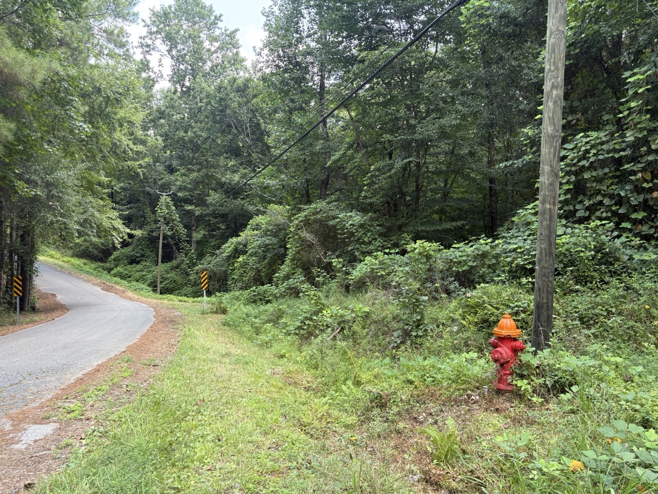 Roadside verge, fire hydrant and utility pole beside Woodmont Subdivision timber