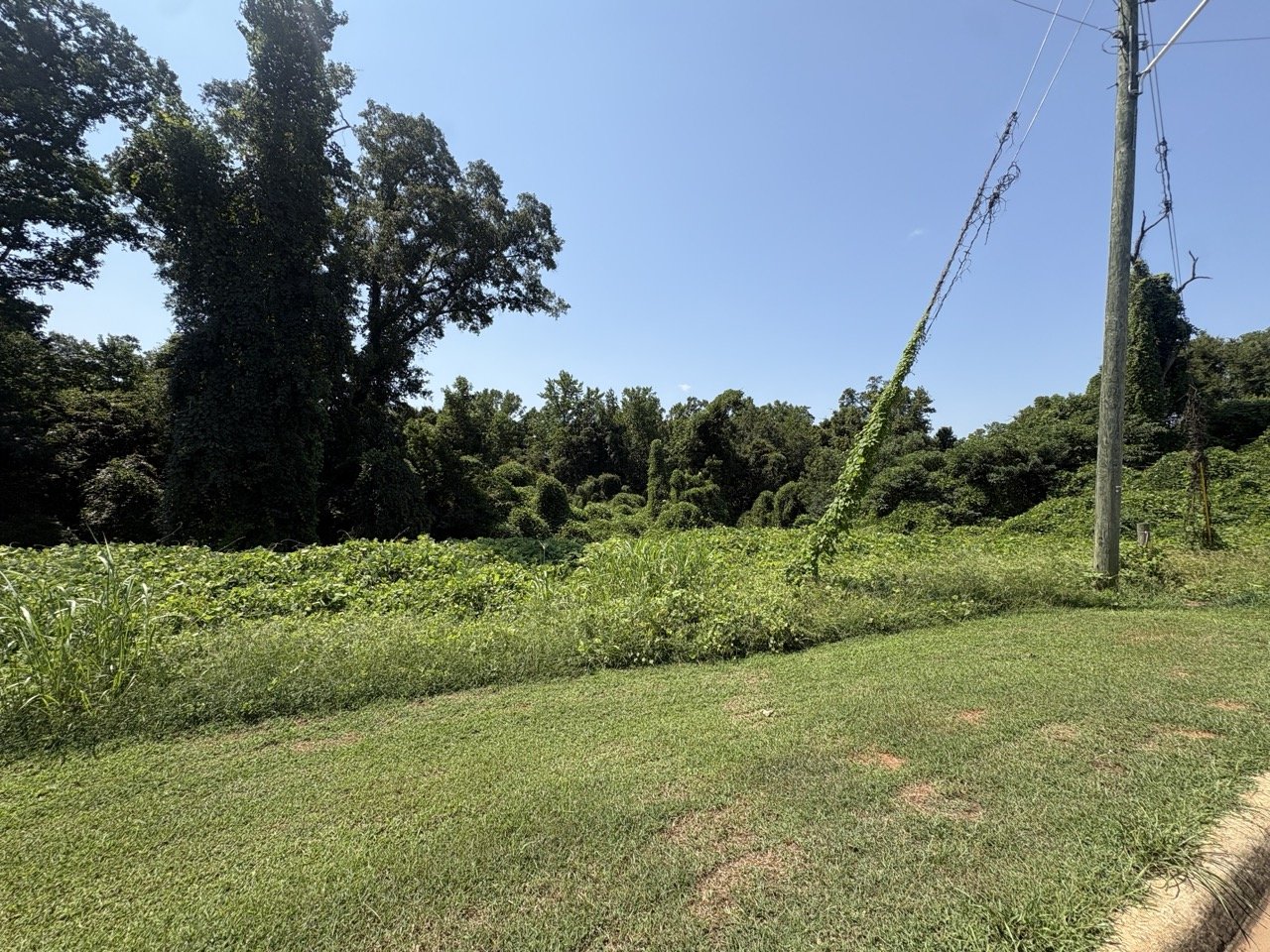 Wooded homesite frontage with roadside power