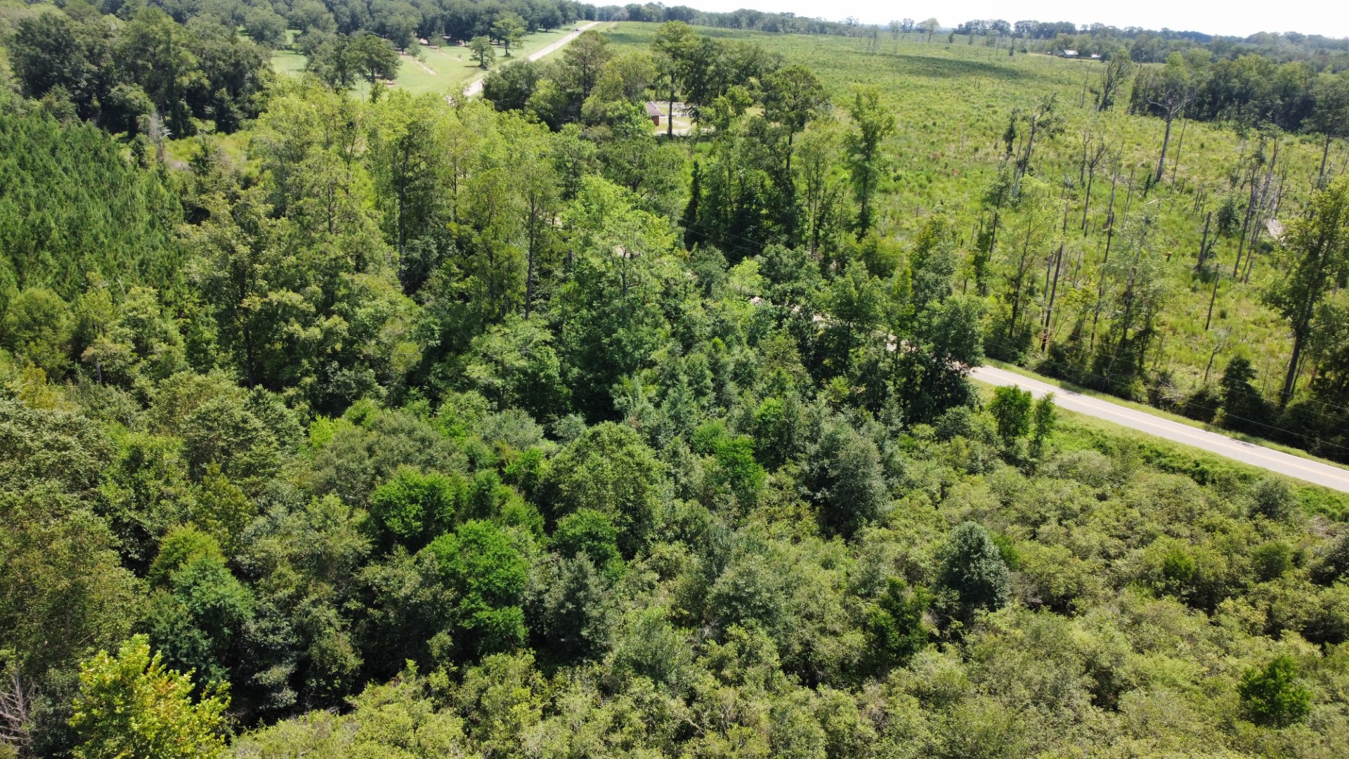 Aerial of hardwoods and pines beside the county road frontage