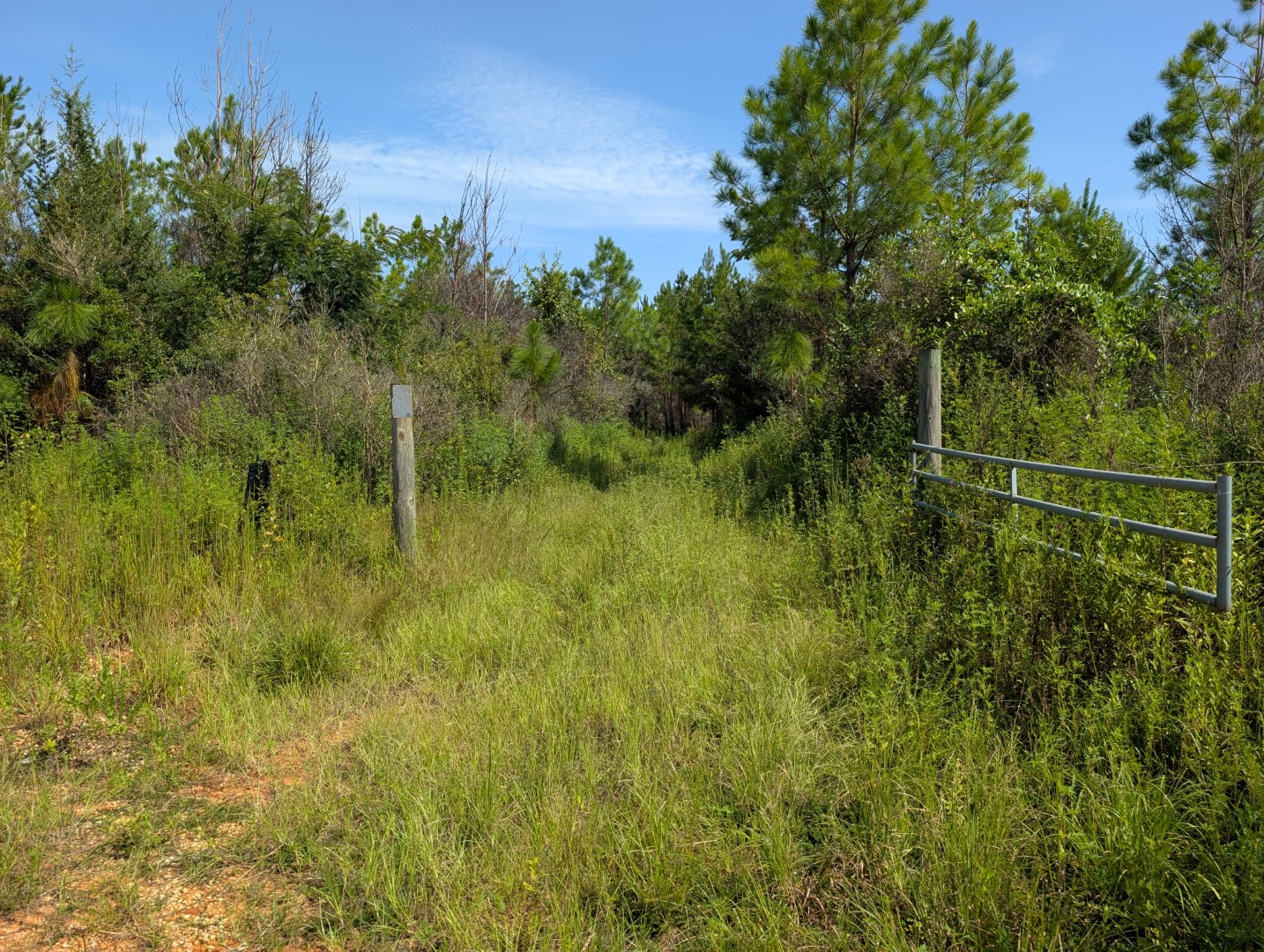 Gated entrance off the county road