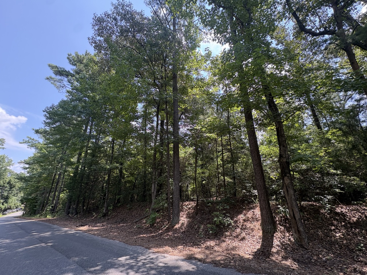 Looking down 3rd Place East past the Woodmont Lots 1 and 2 homesite