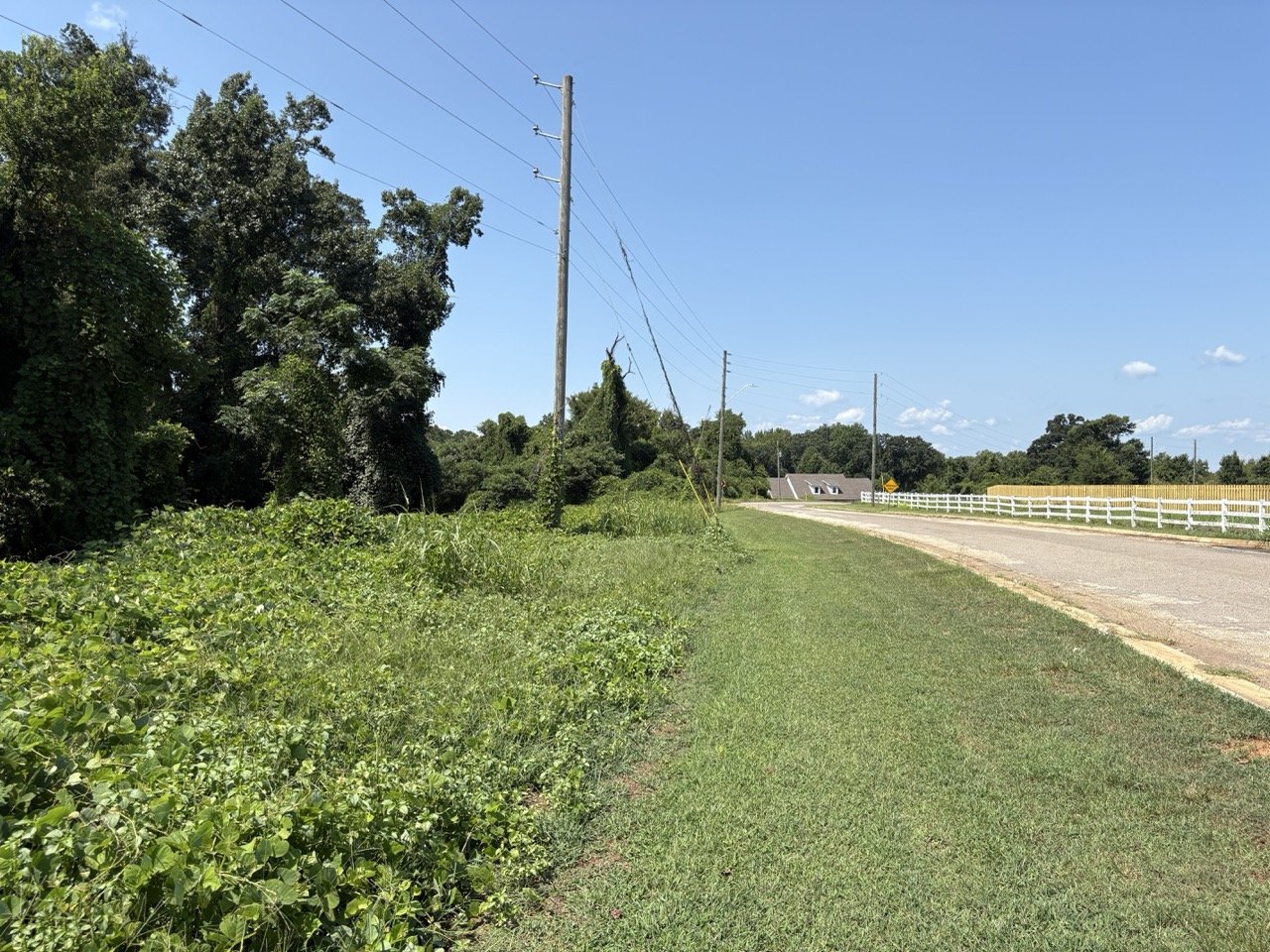 Trees and roadside power at Lot 334