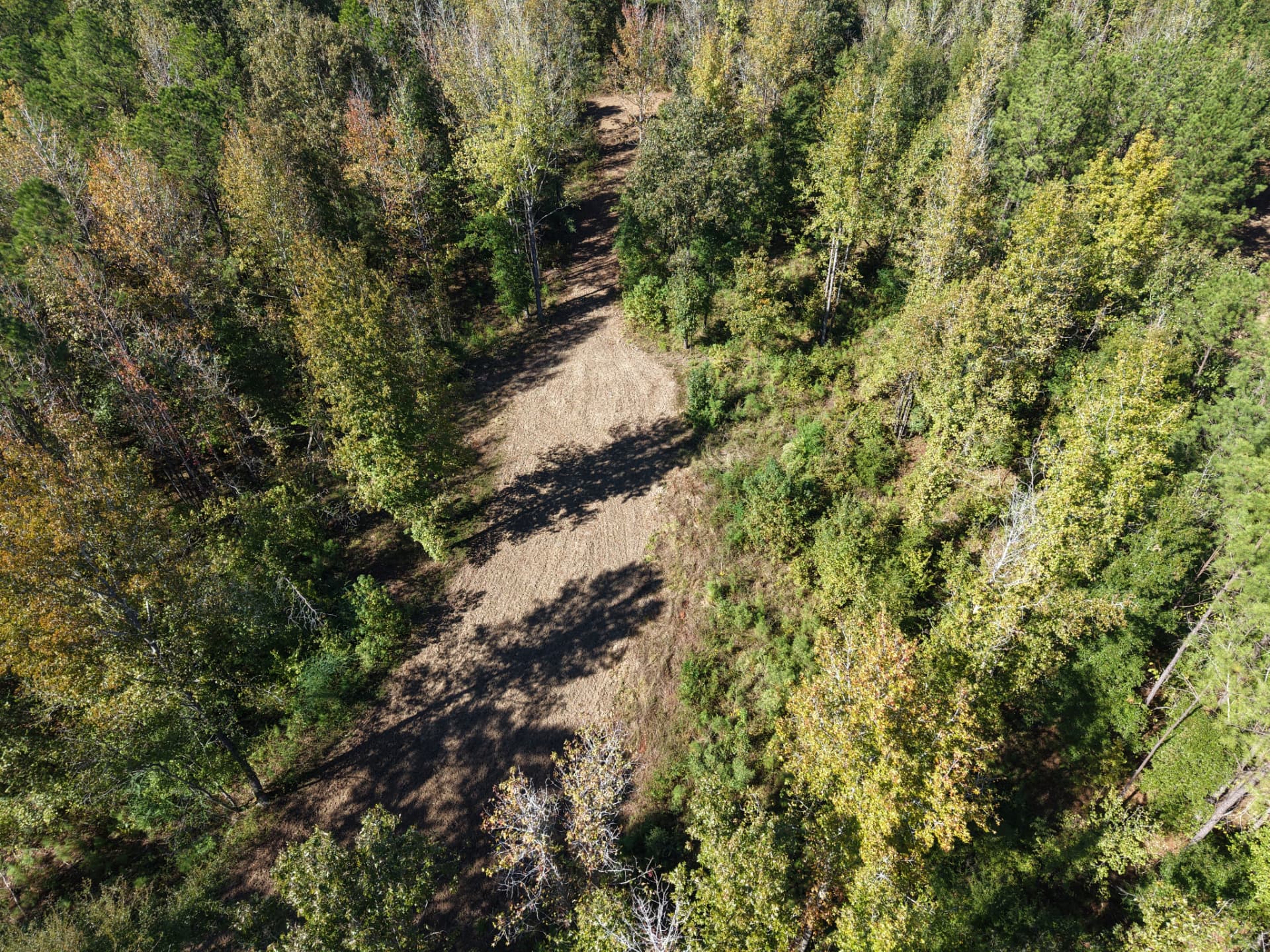 Aerial looking down a long food plot through timber at Flatwood 40 Tract, Marengo County, Alabama