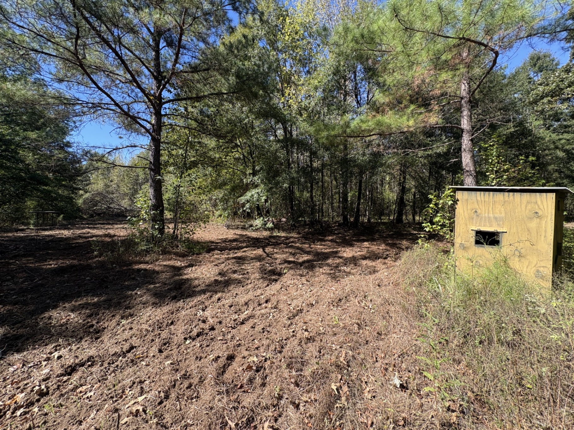 Enclosed shooting house beside a food plot at Flatwood 40 Tract, Marengo County, Alabama