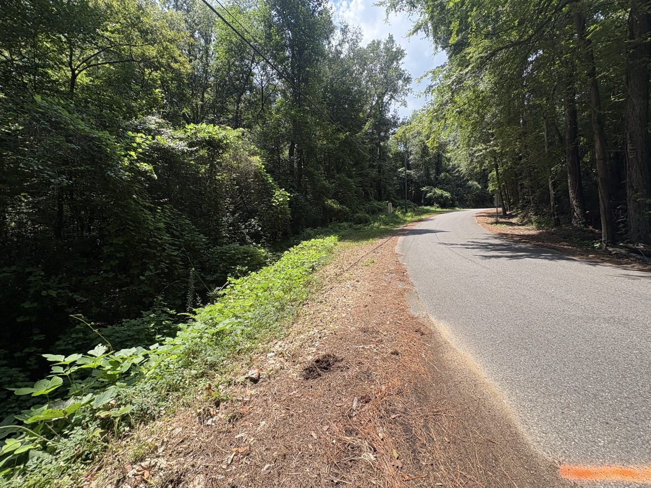 Pine-straw shoulder and curving street at a Woodmont Subdivision lot