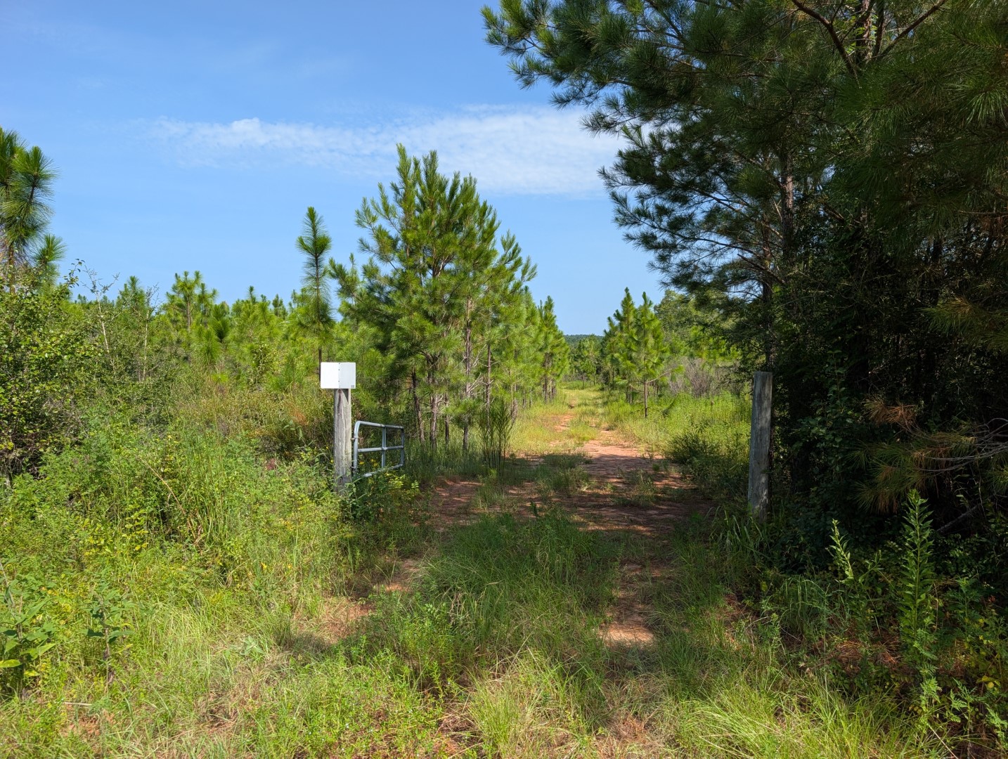 Gated entrance and trail into the pines