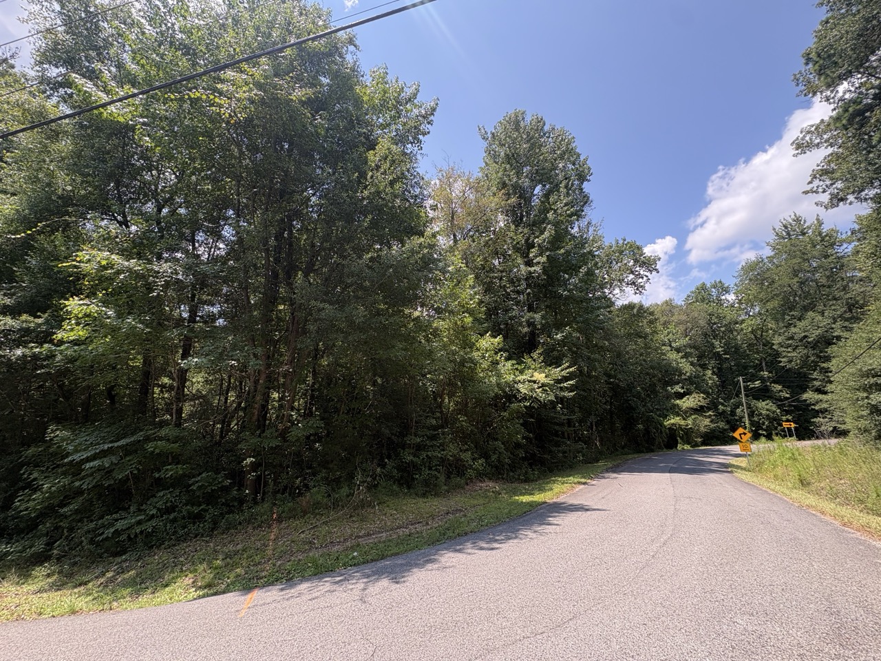 Winding paved street and wooded Woodmont Subdivision frontage
