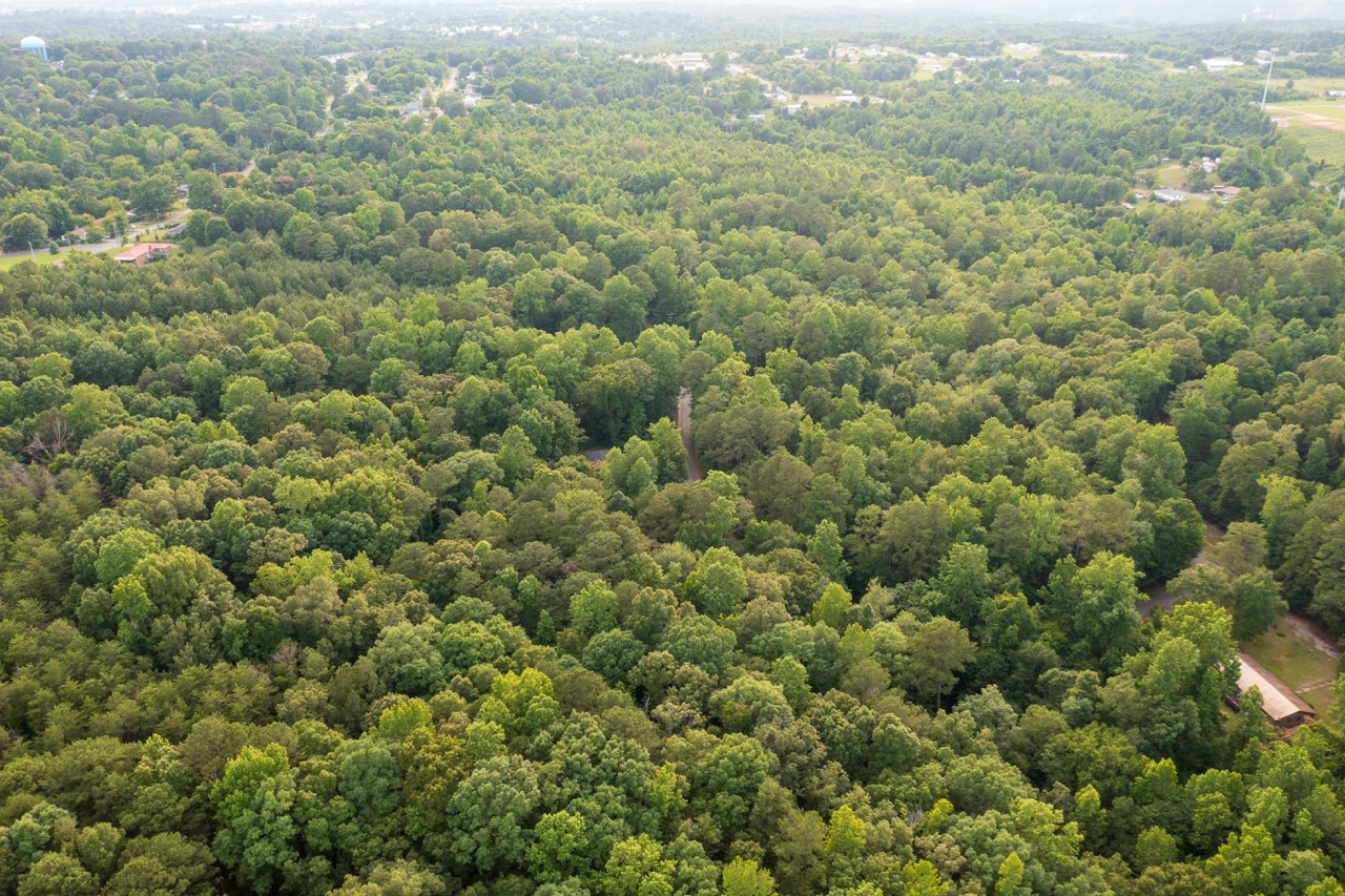 Aerial looking down a road corridor into Woodmont Subdivision timber, with Tuscaloosa on the horizon