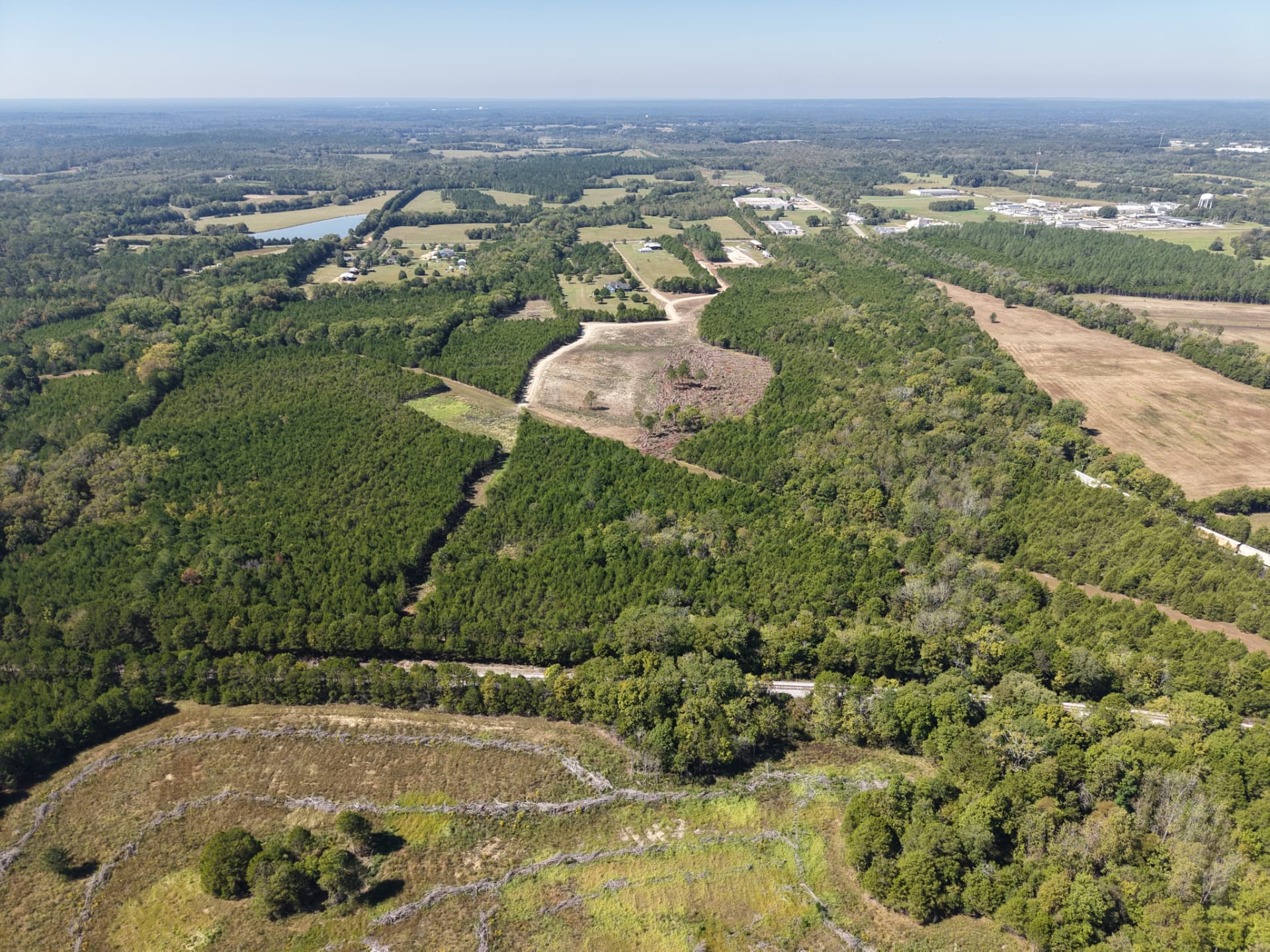 Aerial view over Cedar Junction Tract in Demopolis, Alabama, showing cedar timber, cleared openings and the new internal road