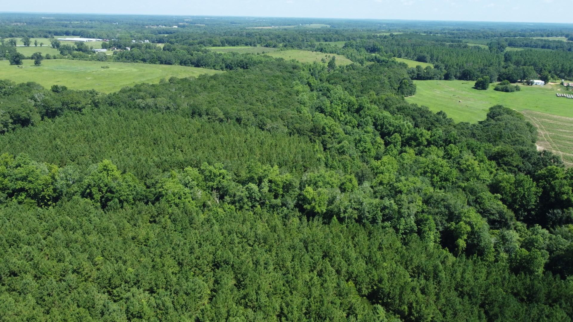 Aerial looking out over the timber toward the open fields