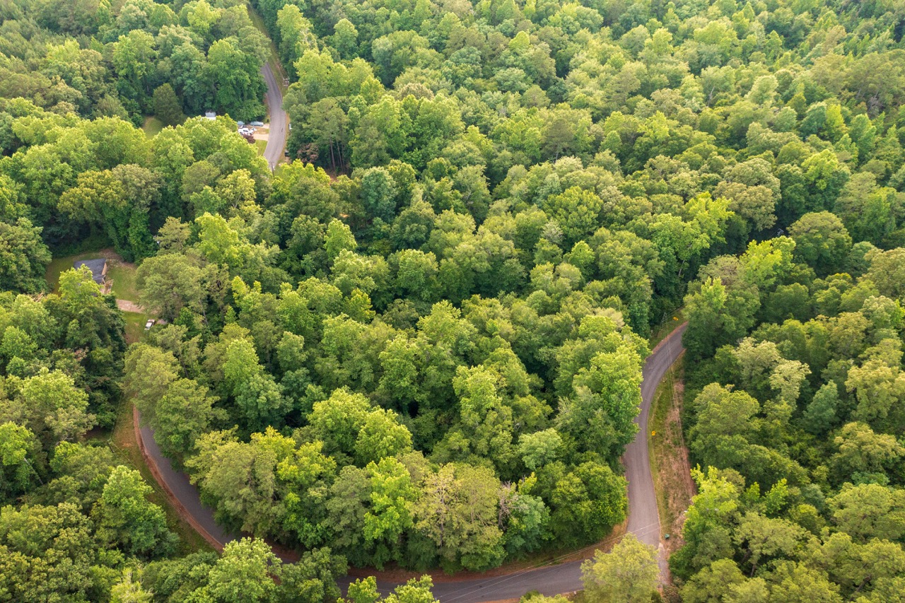 Aerial of wooded Woodmont lots encircled by a curving paved street