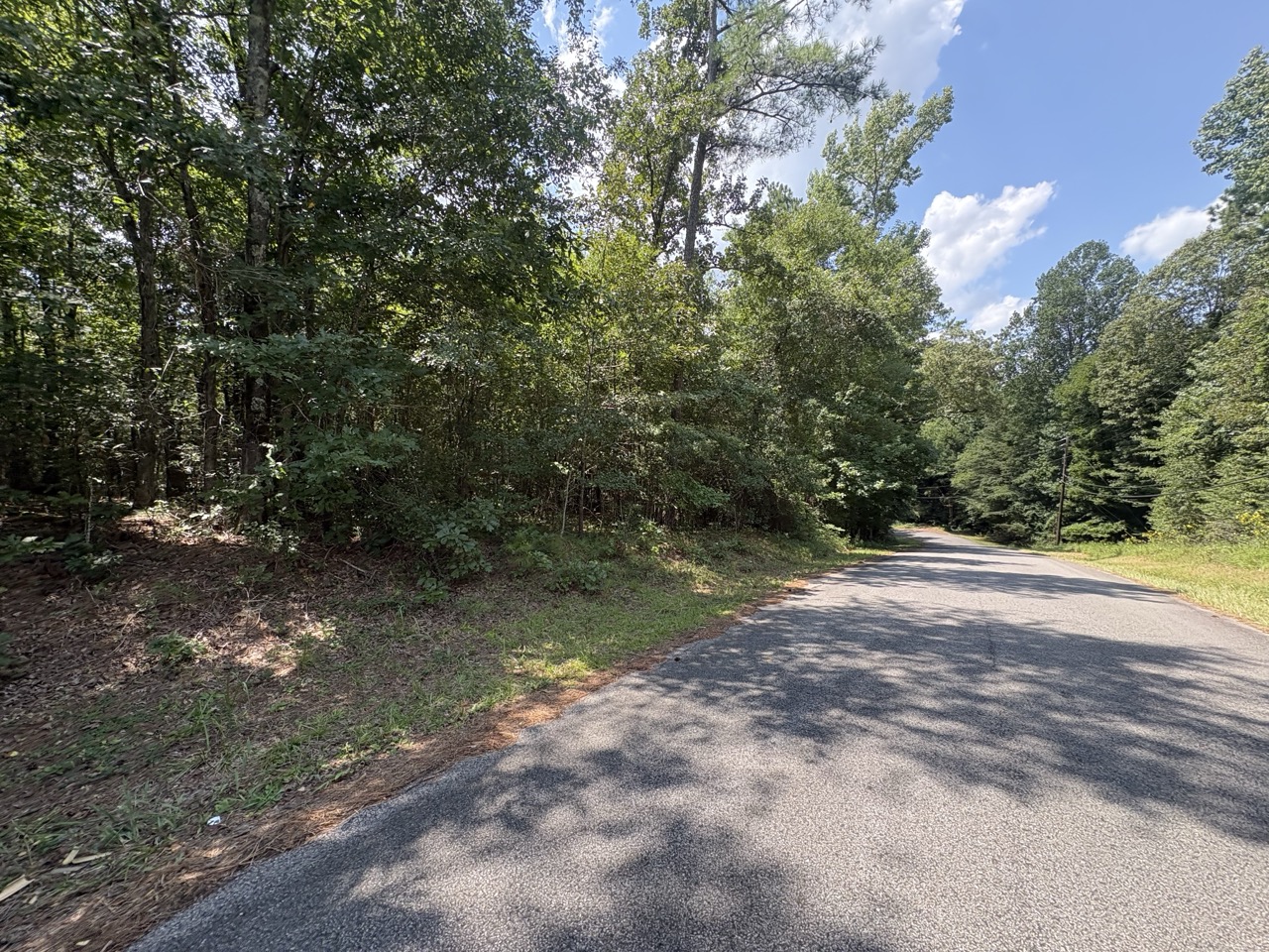 Paved street frontage and dense underbrush at a Woodmont Subdivision lot