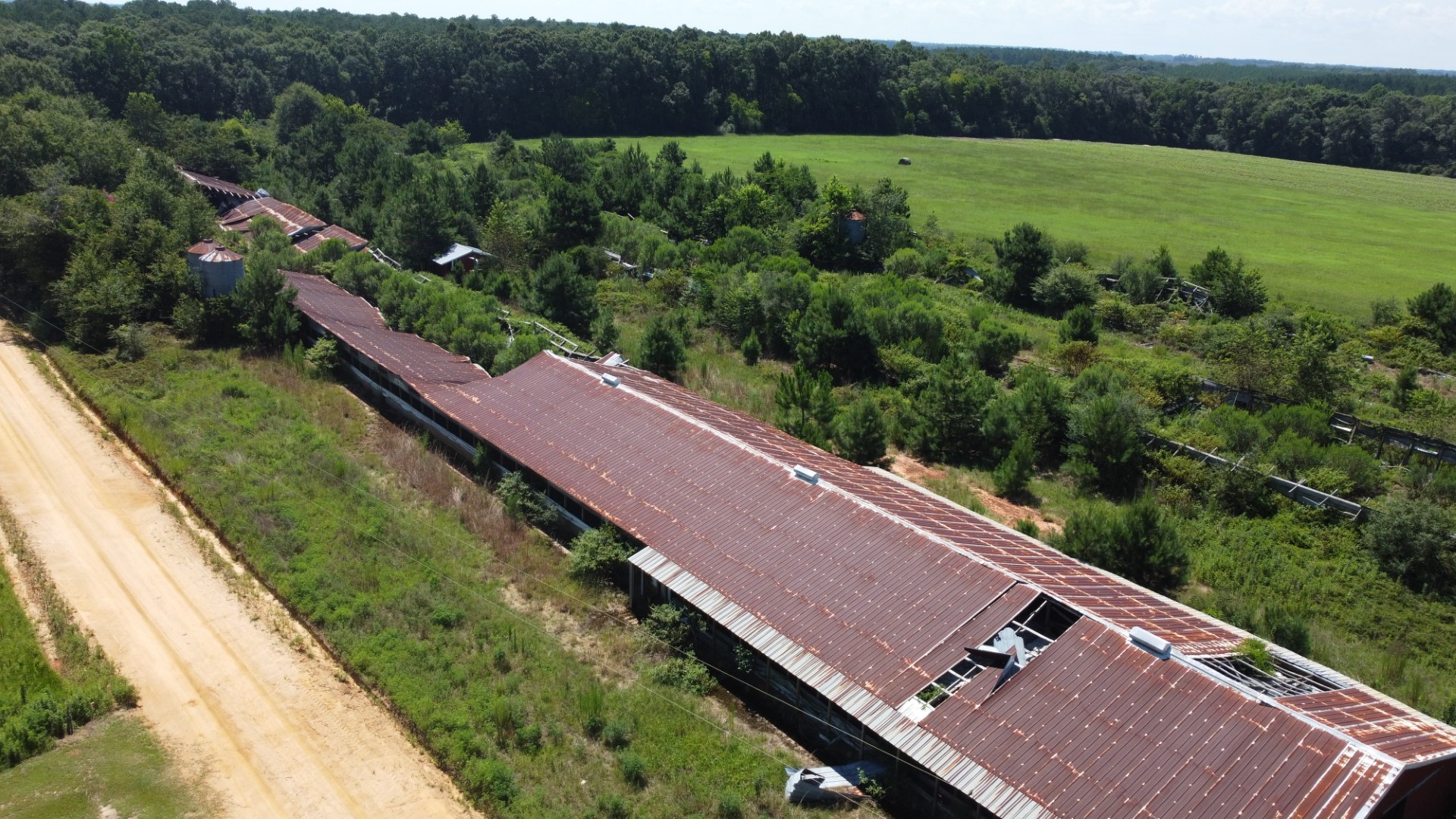 A long former poultry house with a damaged roof beside the road and open ground