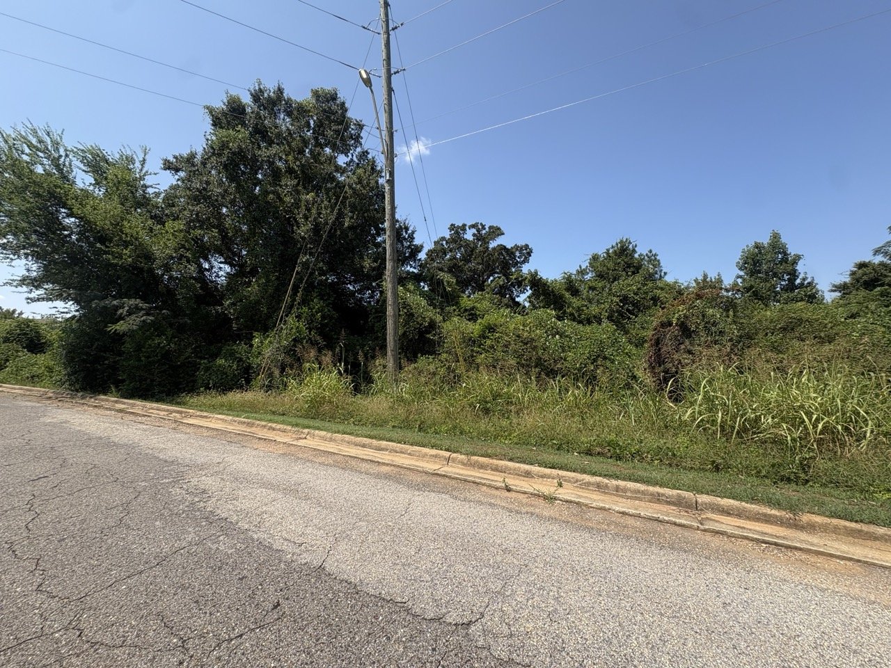 Hardwoods and roadside power along the lots