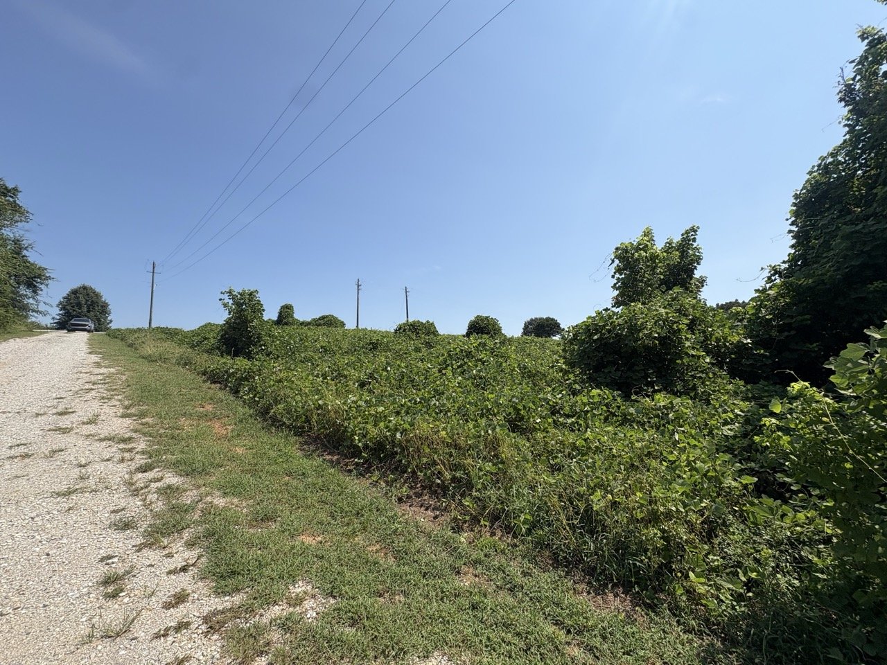 Gravel shoulder and open ground along the lot's edge