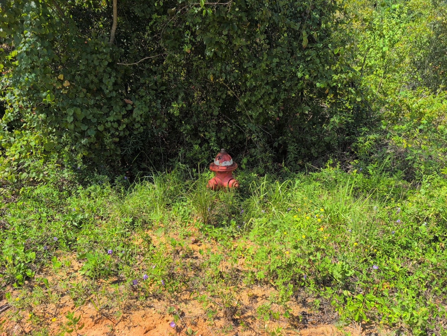 Fire hydrant along the road frontage