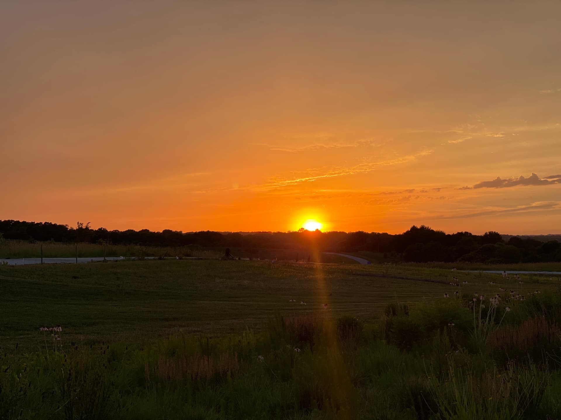 Big sunset sky over open rural ground