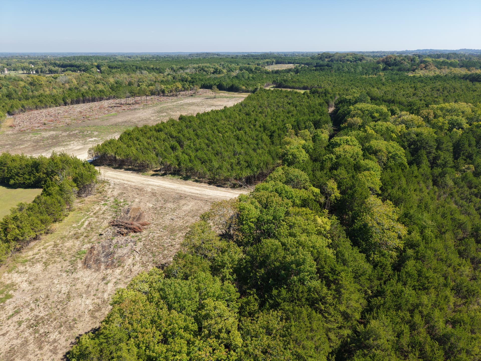 Aerial of cleared openings connected by trails through cedar timber