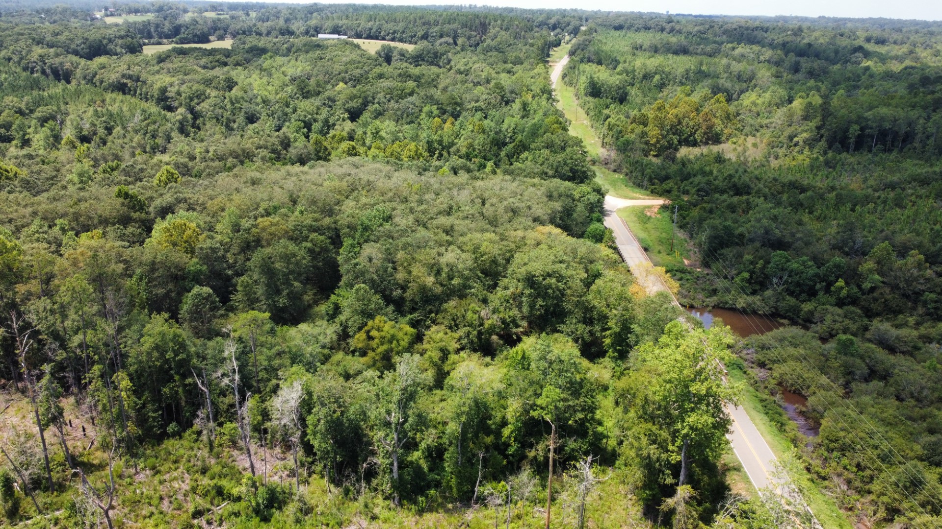 Aerial of a hardwood drain and the road frontage