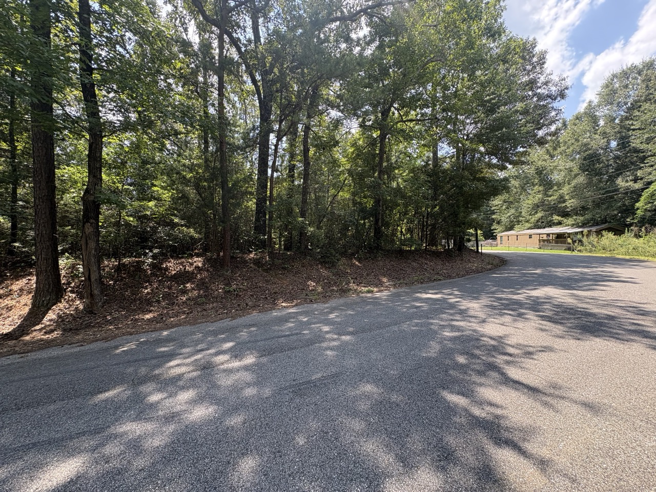 Mature pines and hardwoods behind the frontage at Woodmont Lots 1 and 2