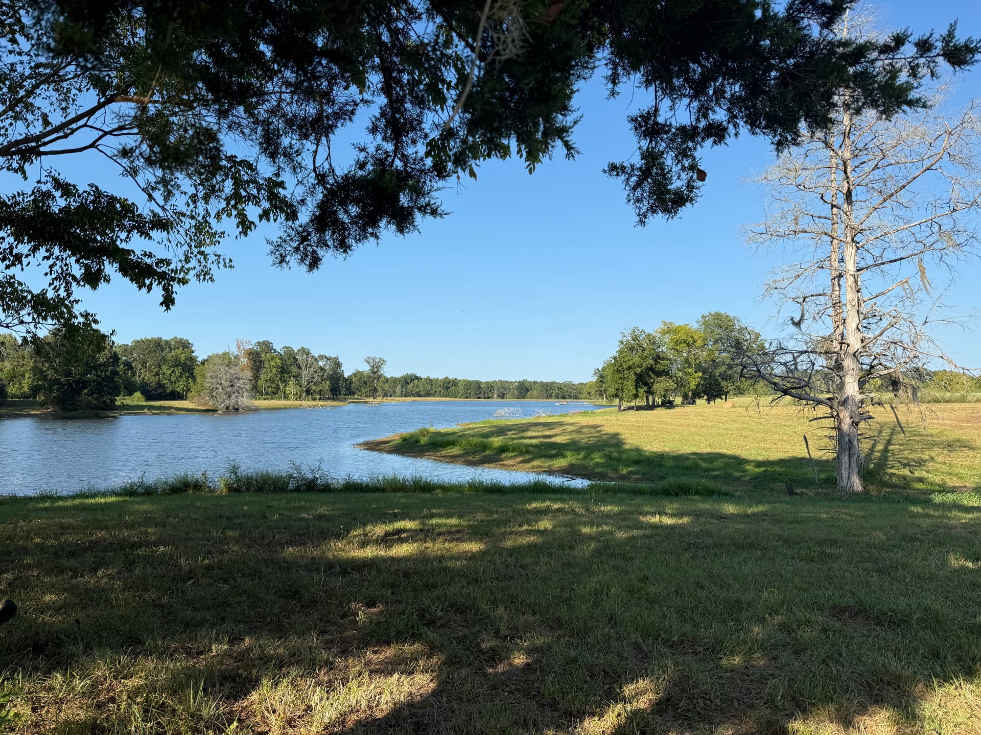 Lake and grass shoreline on a representative farm property